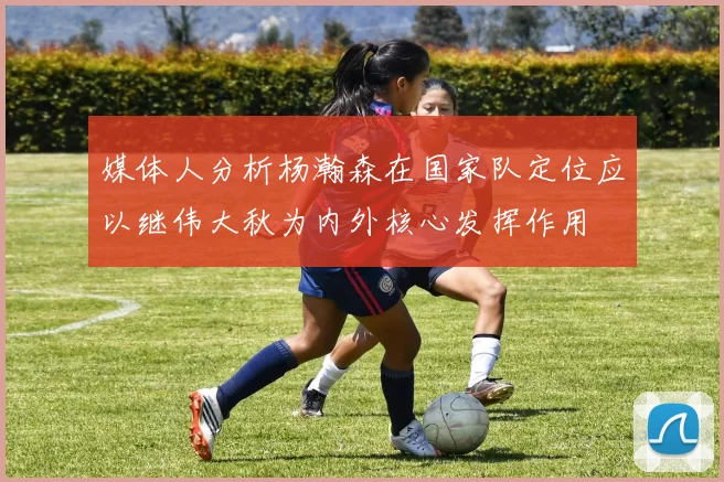 媒体人分析杨瀚森在国家队定位应以继伟大秋为内外核心发挥作用