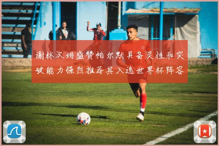 谢林汉姆盛赞帕尔默具备灵性和突破能力强烈推荐其入选世界杯阵容